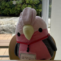 人物アイコン